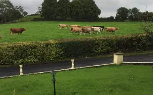 Bunratty View