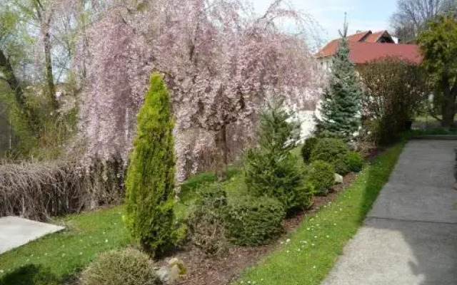 Ubytování Jelínková