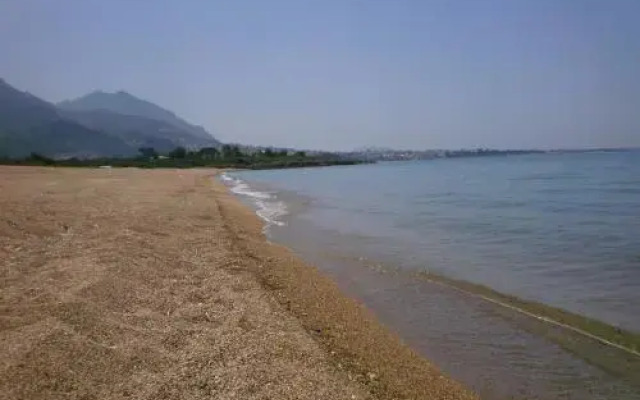Sani Kasimis