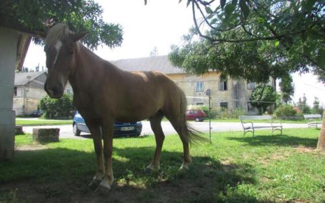 Apartments Posestvo Grad Prestranek