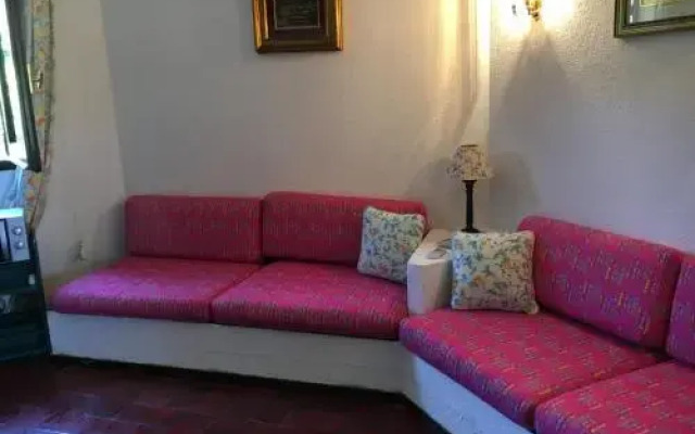 Le Palmette