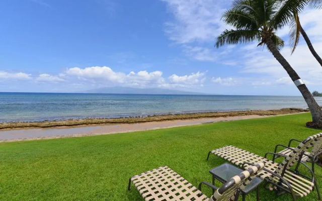 Paki Maui 414 by RedAwning