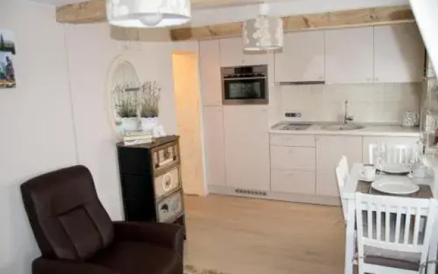 Skruzdynės Apartamentai
