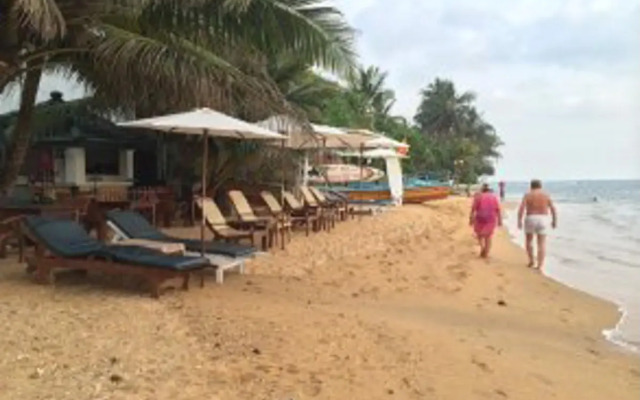 Coconut Bar Sea Lodge