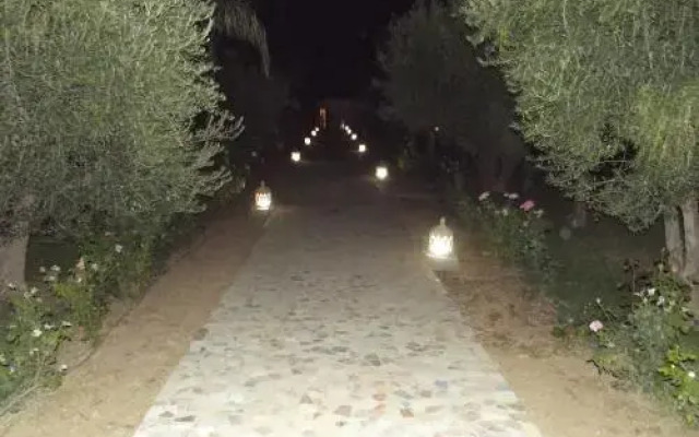 Paix Et Palmiers