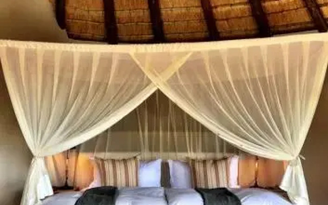 Nambiti Plains Private Game Lodge