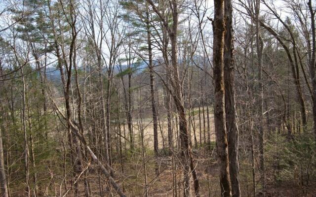 Adams Eden - 2 Br home by RedAwning