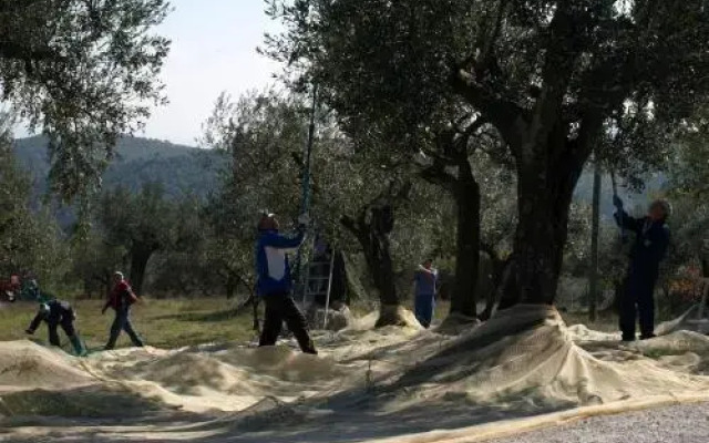 Holiday Home Podere Schioppello