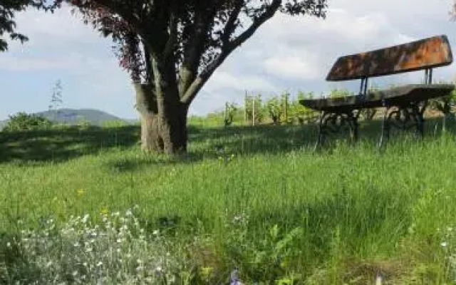 Gîte le Chêne du Py