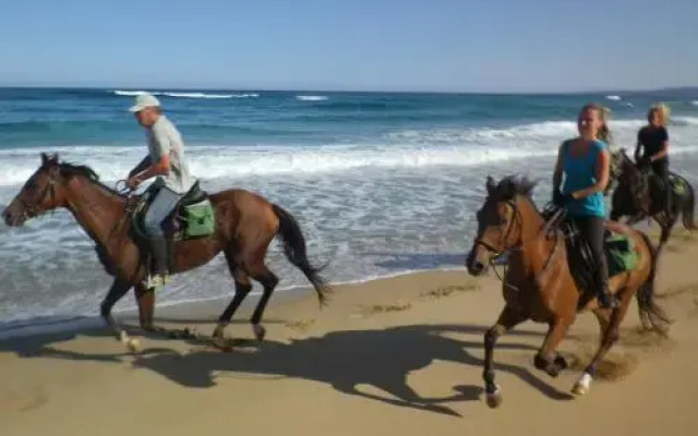 Centro Turismo Equestre BB Shangrila