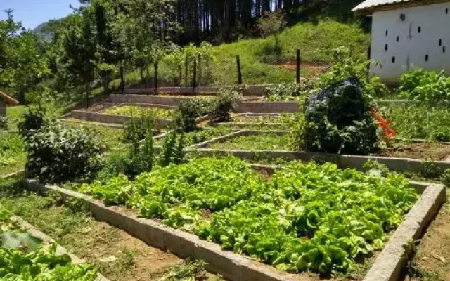 Hotel Fazenda Moinho Dagua