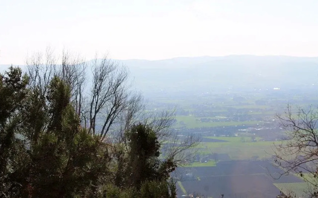 Sogni d'Assisi