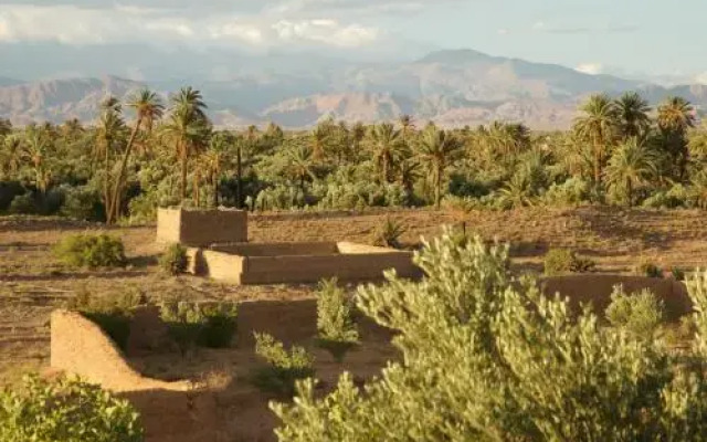 Dar Faracha