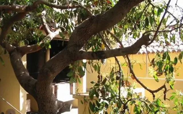 Casa Los Mangos