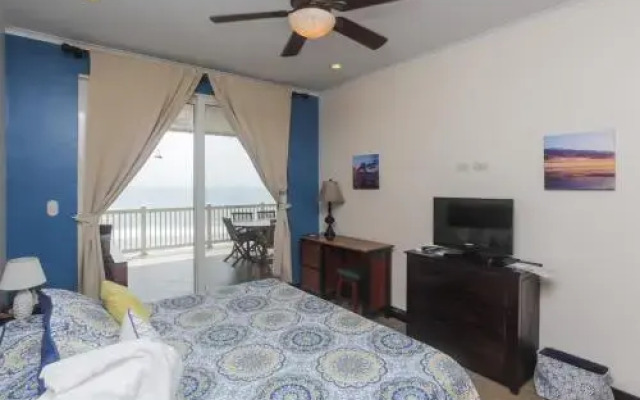 The Palms 703