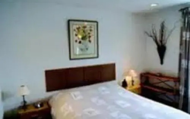 Artizana Suite