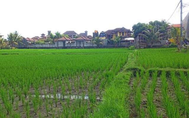 Rena House Ubud