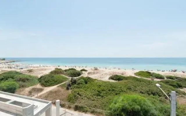 Orange Marini Studio