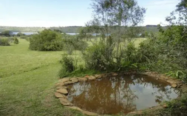 The Funny Farm Shire