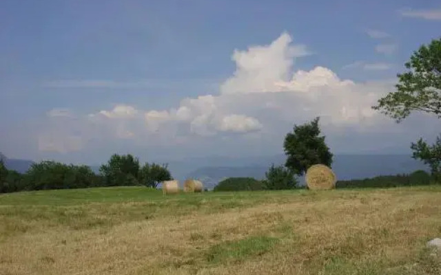 Agriturismo Girasole