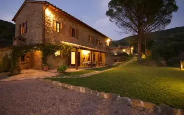 Antica Quercia Verde