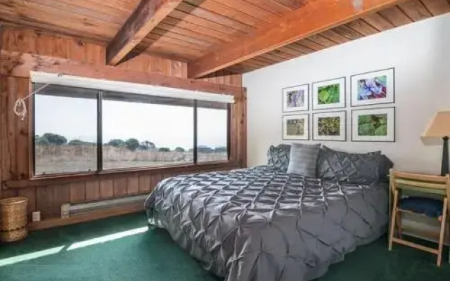 Holmes 3 Br home by RedAwning