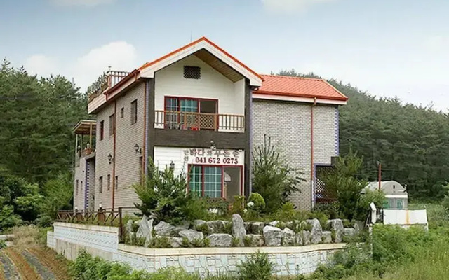 Sea and Pine Tree Pension