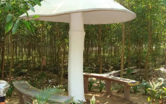 Dandeli Camps