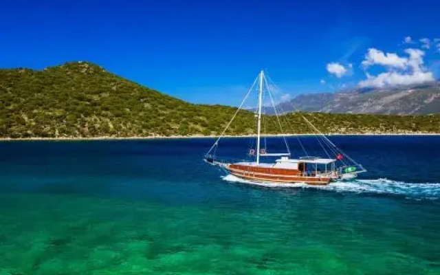 Blue Cruise