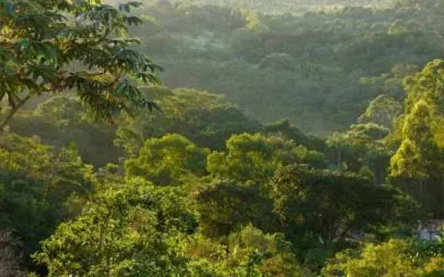 Mirante Lodge
