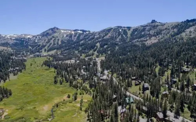 Sun Meadows