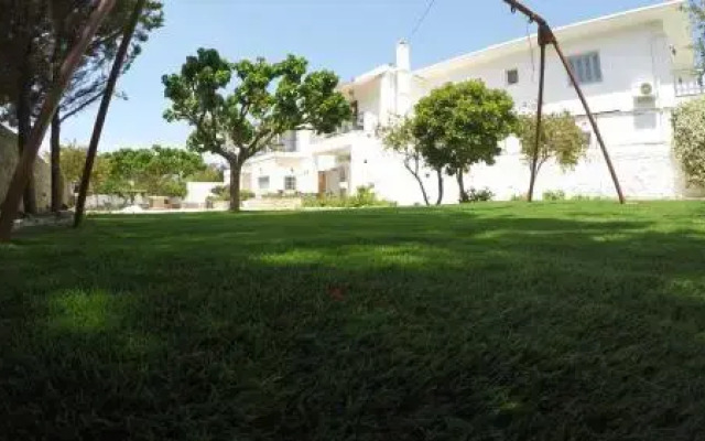 Paloma Studios