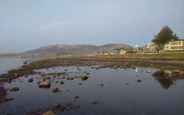 Hostal Guanaco Blanco