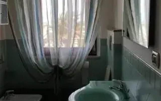 Pini sul Mare