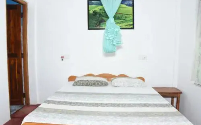 nilaveli palm house