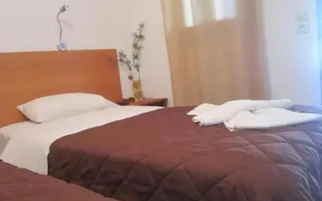 Victor 2