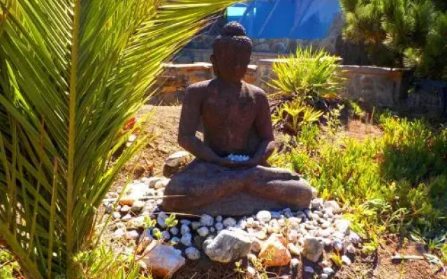 Desdeoriente Punta De Lobos