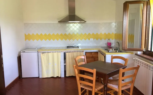 Il Girasole Terzuolo