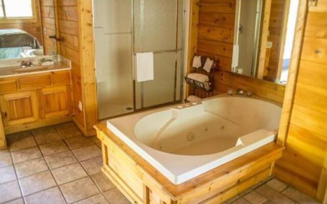 40 Perfect Beginnings - 1 Br Cabin