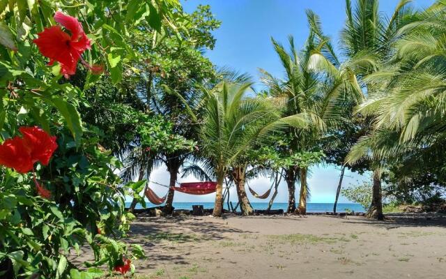 Paisajes del Tortuguero (On The Beach and Town Center)