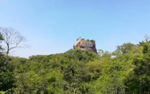 Oshani Homestay Sigiriya
