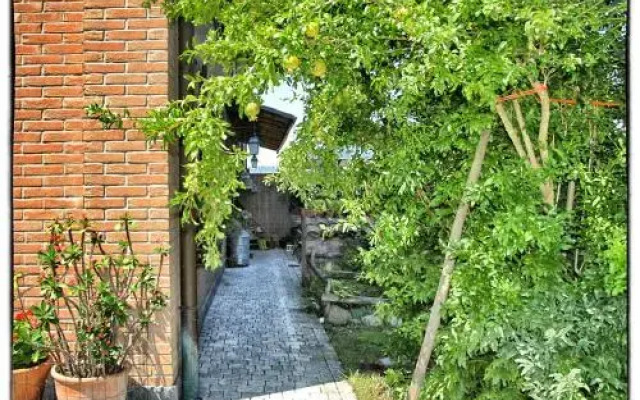La Corte del Macero