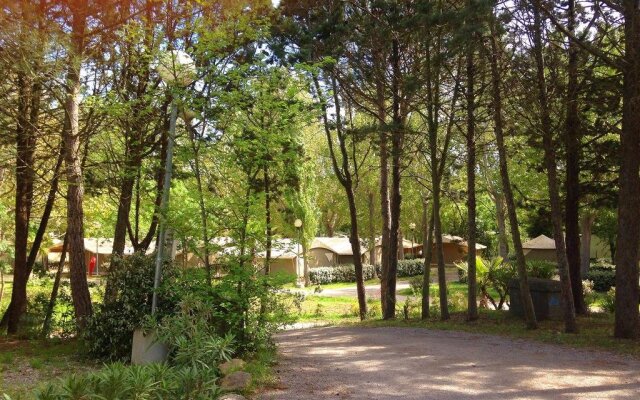 Domaine Residentiel De Plein Air Le Castellas