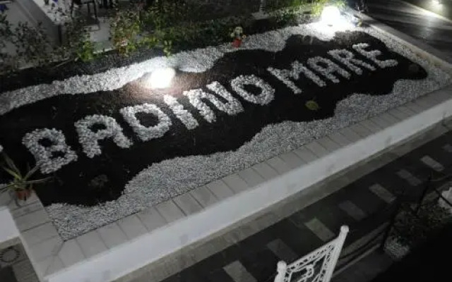 Badinomare