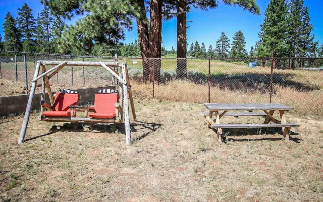 1555 - Owl Pine Cabin