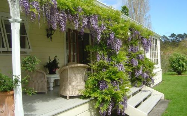 Allambee Cottages – Outside – Coromandel