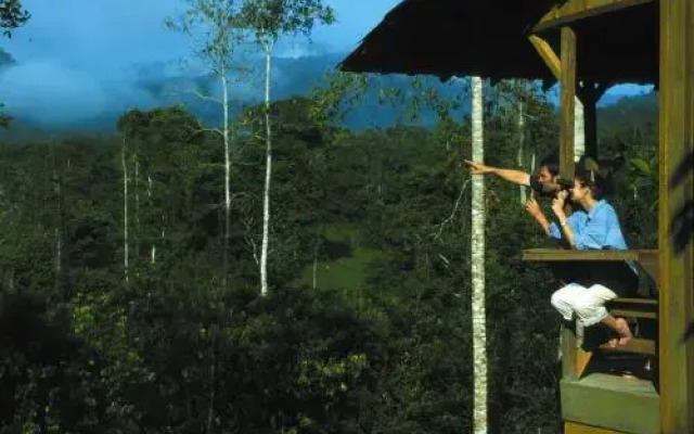Selva Bananito Lodge
