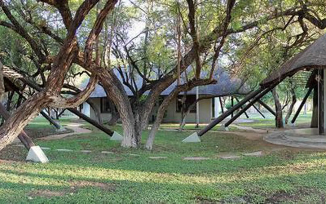 Simbavati Camp George