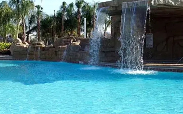 Paradise Palms 8913