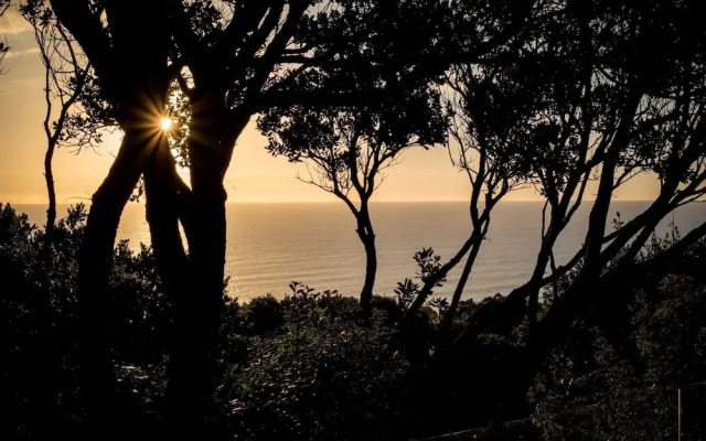 Muriwai Beach Memories